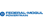 Federal-Mogul Powertrain Federal-Mogul Powertrain